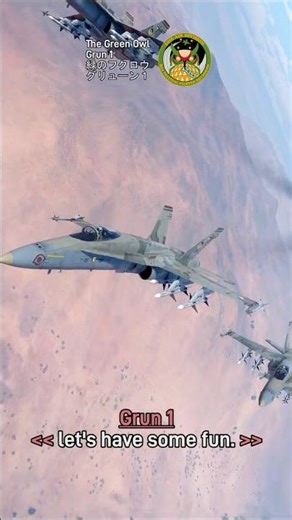 Belkan Air Force: Grün Team #warthunder #acecombat