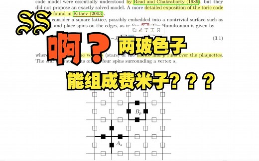 2d toric code 一个具有有趣拓扑性质的凝聚态模型