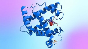 Deep dive into AlphaFold 3