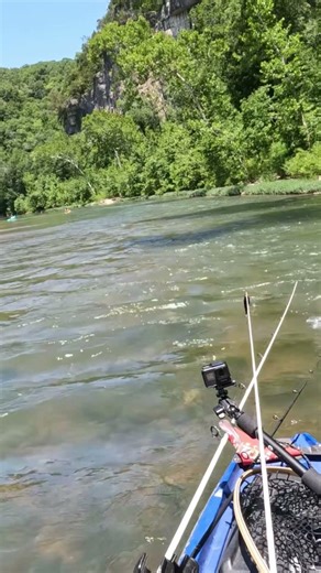 Here are a beautiful bluff and a cave on the Meramec River