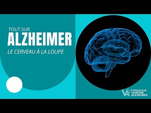 Mécanismes et secrets de la maladie d'Alzheimer : le cerveau à la loupe