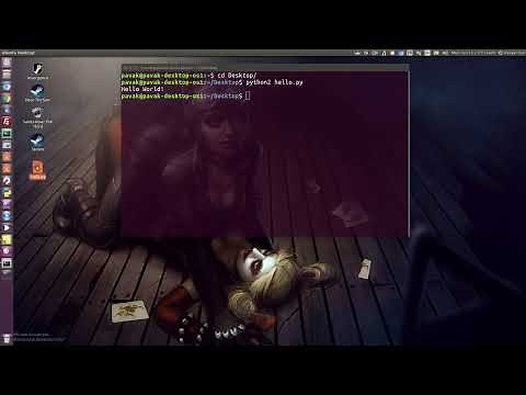 How to run Python scripts in Linux