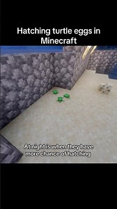 Took so long for them to hatch😭 #Minecraft #turtles #minecraftturtle #hatchingturtles