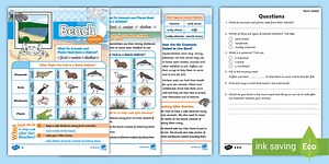 KS1 Beach Habitats Reading Comprehension Activity