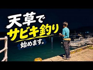 [Kumamoto/Amakusa] Night Sabiki Fishing at the Port: From Setup to Catching Horse Mackerel