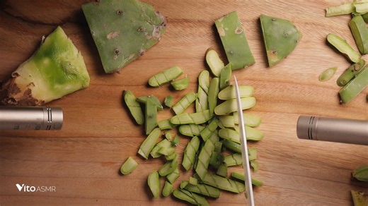 【Vito_助眠】触发｜ASMR最令人满意的仙人掌触发音( 1920 X 1080 60fps )