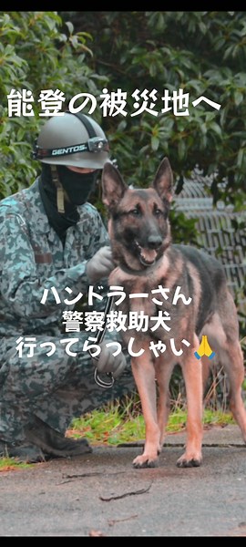 能登地震救助犬とヘリの活躍
