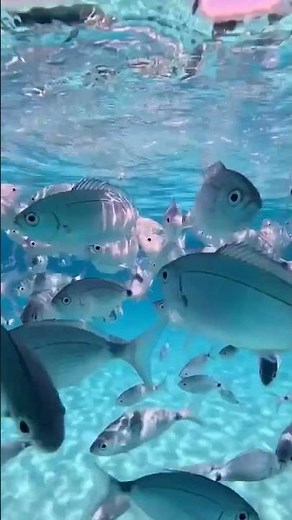 Between the devil and me. Alan Jackson