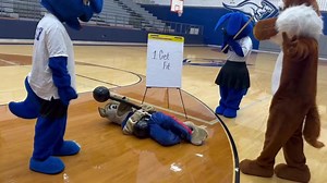 WPD has a new mascot!!! He is excited to meet all the kids of Weatherford, but first he needs some training on how to be the best mascot ever. Who better to learn from than our very own Weatherford High School Mascots, Rocky and Sydney, and Weatherford College Mascot, Champ? #strongcommunity #mascotsofweatherford | Weatherford Police Department, Texas