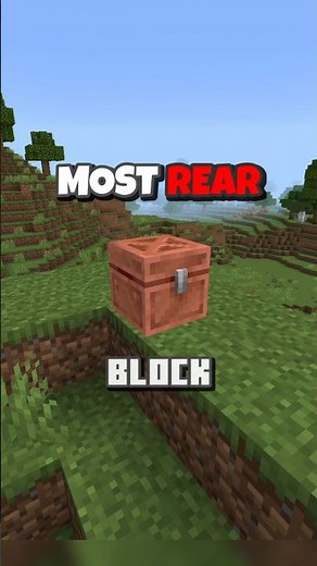 What's The rarest block in minecraft??..