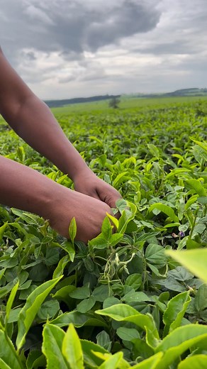 90K views · 3.9K reactions | Cassypool Capon umetuzoea sana shehe | MC JAPHE | Facebook