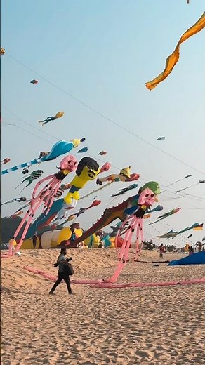 Crazy Kites in the Sky! | Mangalore International Kite Festival 2026