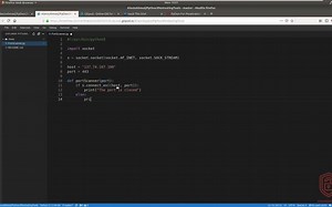 Developing a Port Scanner - Python for Penetration Testing