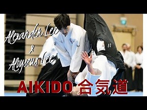 AIKIDO: Power with Relaxation