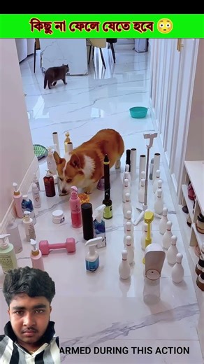 Nothing should be left behind😳.#shortsvideo