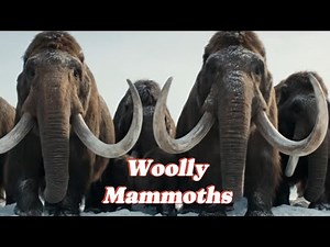 20,000 Years Ago: The Mighty Woolly Mammoth in the Ice Age.