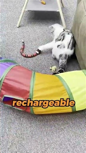 #cutecats #kitten Cat Toys Automatic Eletronic Snake