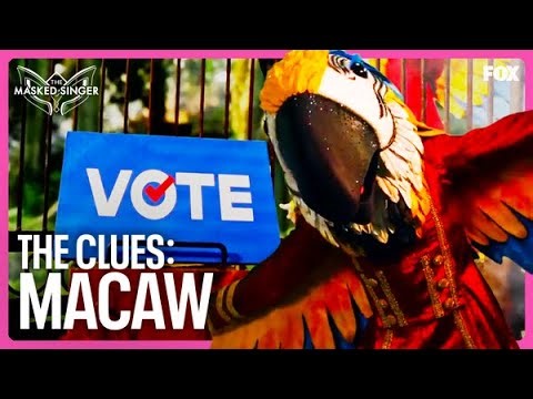 The Clues: Macaw | Season 9 Ep. 13 | The Masked Singer