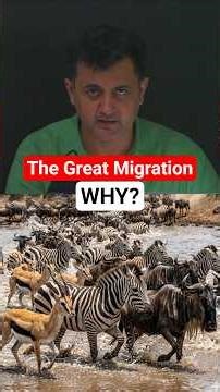 The Great Migration That Never Ends. Why?