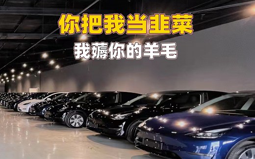 买丐中丐还是选配？标续版Model Y怎么买最划算？看特斯拉交付中心准车主们的“真香”答案