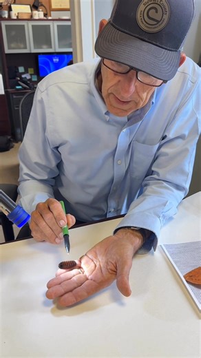 Stewart County 4-H and UT Extension on Reels