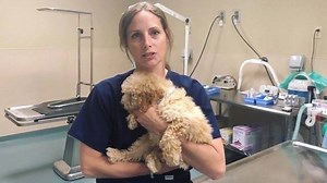 2.7K views · 77 reactions | Meet Dr. Nancy Harvey! She’s been with...