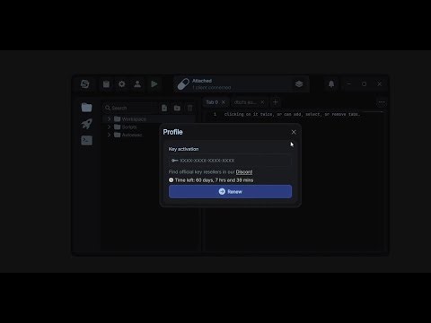[CHEAP] [Seliware] The BEST Undetected Roblox Executor Showcase!