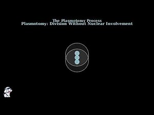 Protozoan Reproduction - Asexual and Sexual Explained