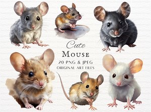 Mouse 20pc PNG & JPEG | Mouse Painting Clipart | Mouse PNG | Cute Mouse Commercial Use | Printable Mouse Wall Art | Field Mouse | Mice Art - Etsy
