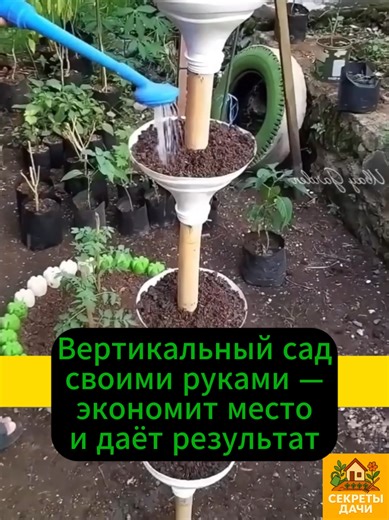 Вертикальный сад своими руками для дачи