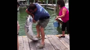 104K views · 369 reactions | Oh wow! | Shotglass Media | Facebook