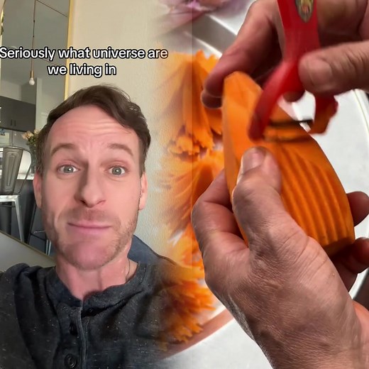 I have no idea what timeline I’ve jumped on today but have you heard this #mermaids #mermaidparty #aliens #weirdstuff #weirdstories #underwatercivilization