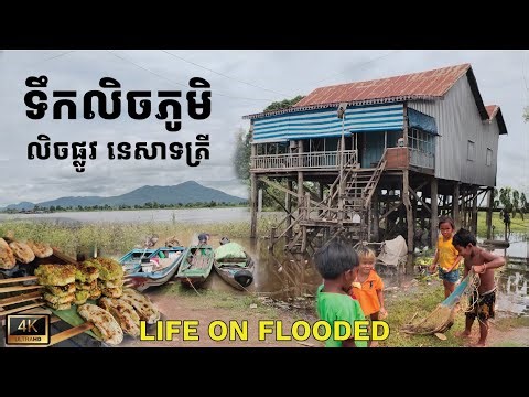 Life on Water: A Flooded Village Where People Live, Fish, and Work | ទឹកលិចភូមិនៅរដូវវស្សា នេសាទត្រី