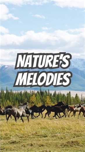 Uplifting Horse Moments • Nature Bliss #horselovers #relax #shorts