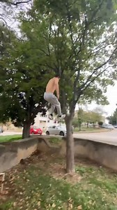 Tree gaps🌳🌳 - - #parkour #jumps #treegap #nature #stunts #phat | Teaanth Fitness fan