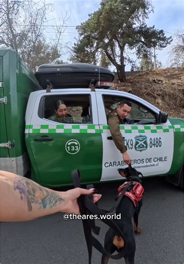 Wooow. No les mentiré que esto fue bastante lejos para mí. Que la propia policía reconozca y salude a Ares es otro mundo! Agradezco enormemente que Ares se portó bien jajaa y aun que nunca ha hecho algo distinto si me puse bien nerviosa. Ojalá vean este video los que estaban en el auto, fue muy lindo gesto! 🫂❤️‍🩹 #viralvideos #foryoupage #doberman #parati #español