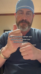 3.8K views · 99 reactions | THE ANATOMY OF AN ARTERY & WHY IT’S IMPORTANT 喙 Learn the structure of an artery and why understanding it is crucial for health and surgery. Perfect for medical enthusiasts and students. #Doctor #Surgery #HealthEducation #Anatomy #MedicalEducation #DoctorLife #HealthTips #SurgeryLife #FYP #ForYou #MedicalStudent #HumanBody #ViralEducation | Alejandro Junger | Facebook