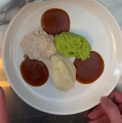 Does Your Purée Look Like This? Here’s the Right Way” Before vs After (Dysphagia Safe)