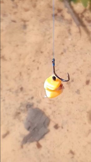🌼Spring Carp Fishing | Corn Tactics for Early Success! 😱 #рыбалка #carp #angeln #fishing