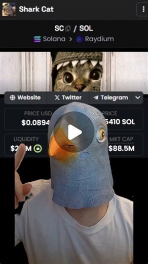 Crypto Pigeon on Instagram: "this is how to create your own memecoin on solana and make millions 🕊️ You will also need to build a big community around your coin or it will be hard to pump 🚀 #solana #crypto #memecoins"
