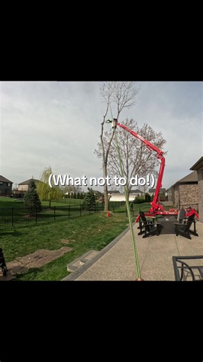 When the tagline says ‘not today’ #TreeWork #ArboristLife #Rigging #RopeBurn #TreeSafety