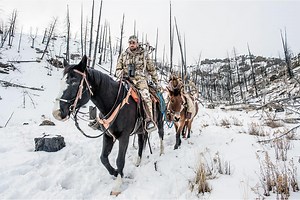 How To: Using Pack Animals for Hunting - Petersen's Hunting