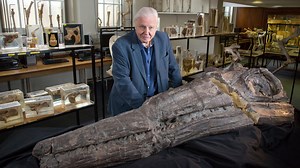 Meet a Jurassic Killer: Temnodontosaurus | Nature