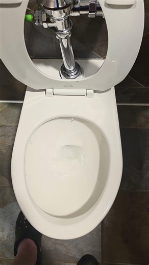 Eljer/Zurn Signature Wall hung 2nd Gen "toilet"