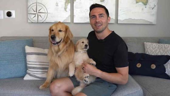 Week three with a puppy: Progress and new challenges