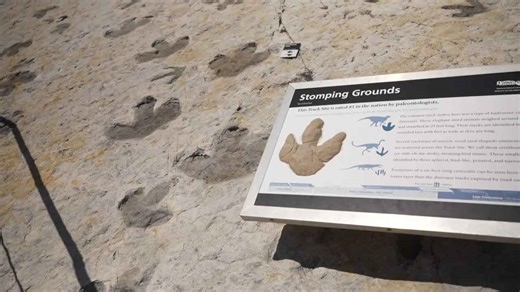 Dinosaur Ridge discovery reveals huge dinosaur mating dance arena