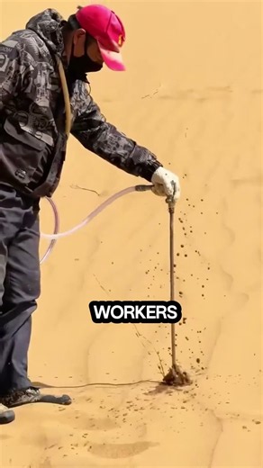 Transforming the Taklamakan Desert into Productive Farmland
