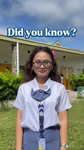 Understanding Trends vs. Fads in the 21st Century