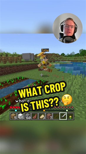 Minecraft Crop Ini Apa? Belajar Bahasa Inggris dengan Minecraft