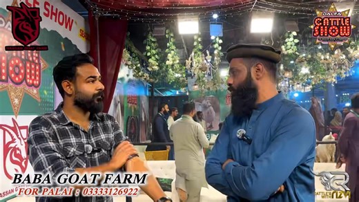 BABA کا NAME TO SUNA HOGA AGR BAKRO KA شوق RAKHTE HO 😎😎 NEXT LEVEL BAKRE JO کے KARACHI WALO KO HILA KR CHALAY GAYE🔥🔥 🔶🔶 HASSAN GOAT FARM 🔶🔶 FOR PALAI SERVICE : 03333126922 (BABA) #CattlesWithRizvi #HasanGoatFarm #RizviVlogs | Cattles With Rizvi